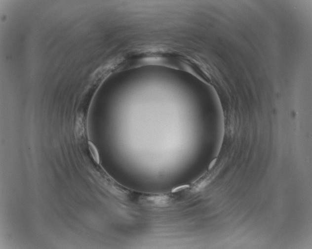 X0000071850478200606301342