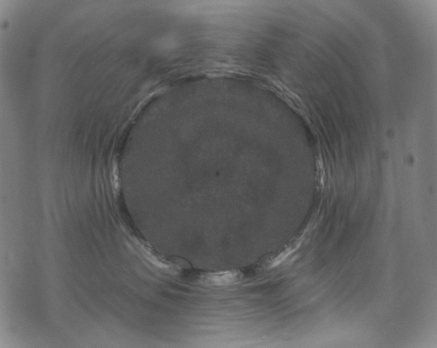 X0000071850479200606301342