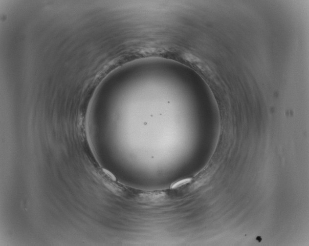 X0000071850480200606301342