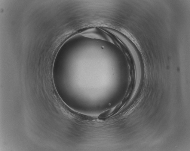 X0000071850481200606301341