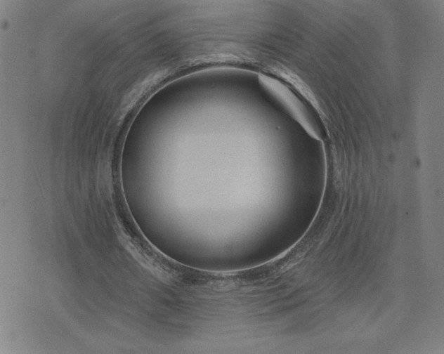 X0000071850482200606301341