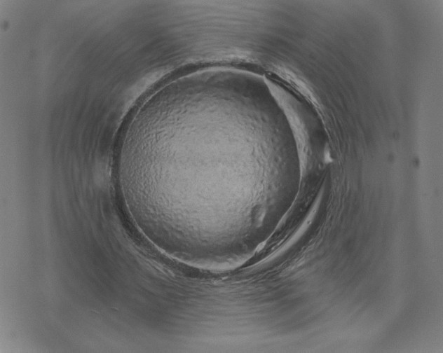 X0000071850483200606301341