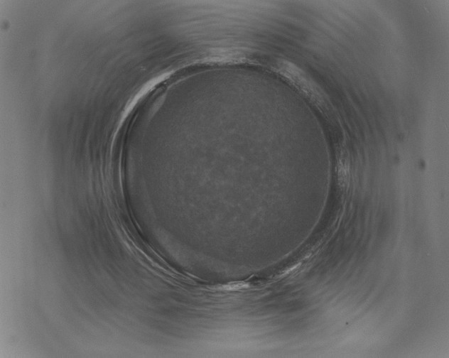 X0000071850484200606301341