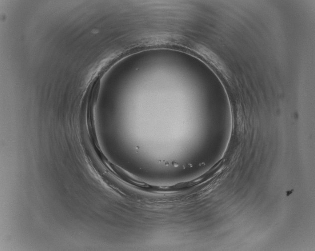 X0000071850485200606301341