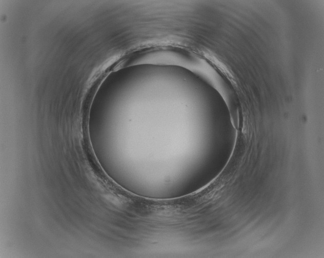 X0000071850486200606301341