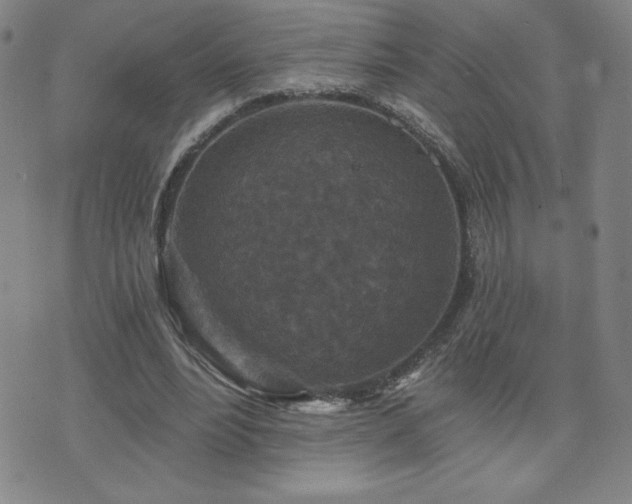 X0000071850488200606301341