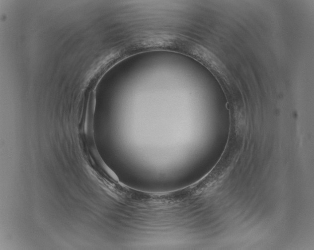 X0000071850490200606301341