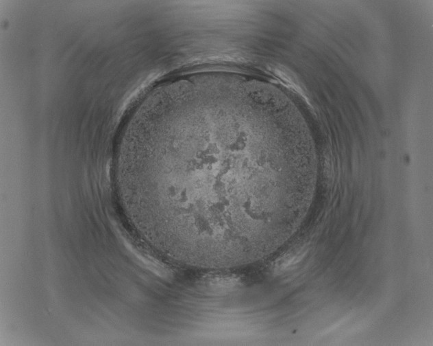 X0000071850491200606301341