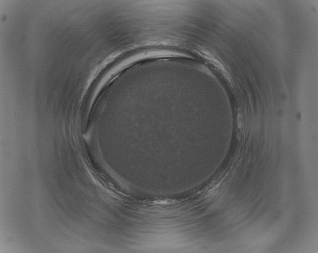 X0000071850492200606301341