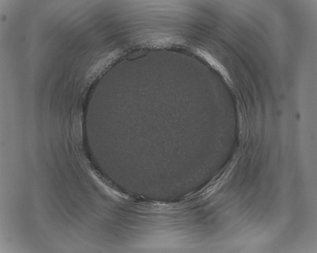 X0000071850493200606301341