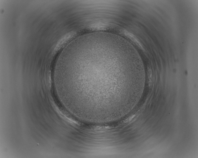 X0000071850494200606301341