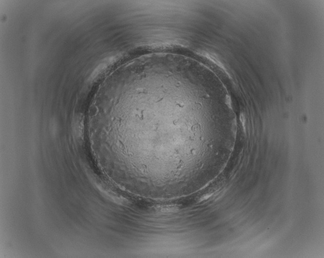 X0000071850495200606301341