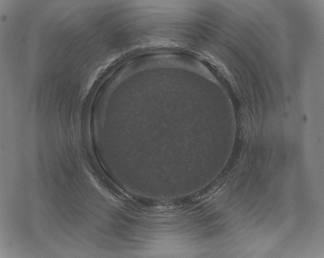 X0000071850496200606301341