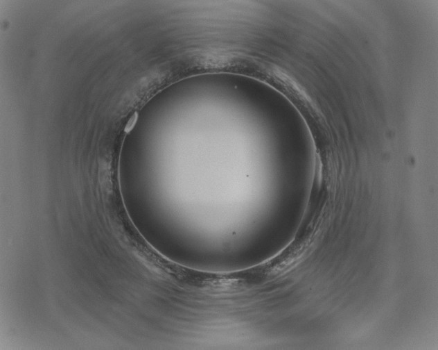 X0000071850497200606301341