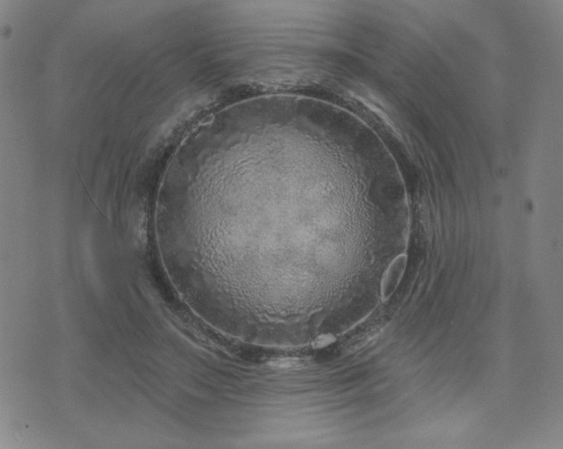 X0000071850499200606301341