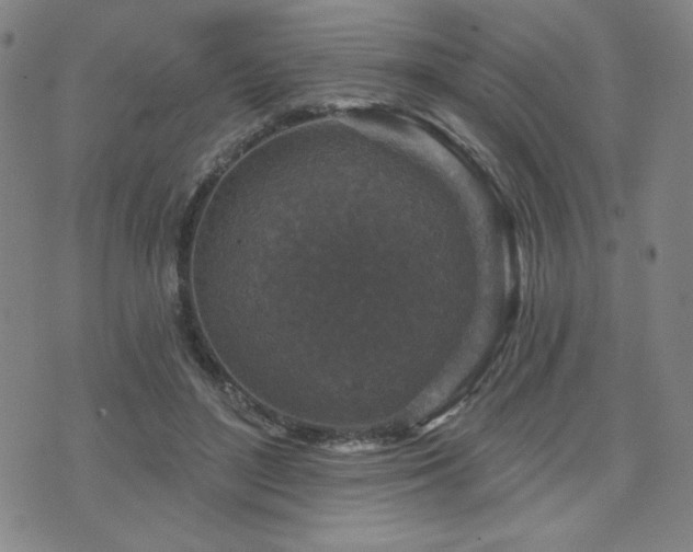 X0000071850500200606301341