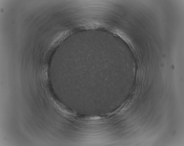 X0000071850501200606301341