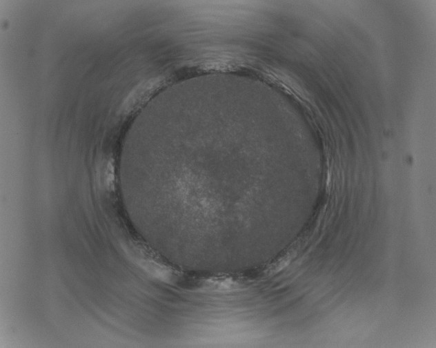 X0000071850502200606301341