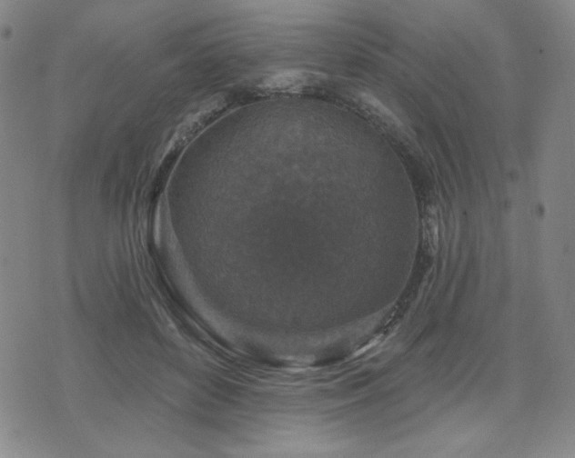 X0000071850504200606301341