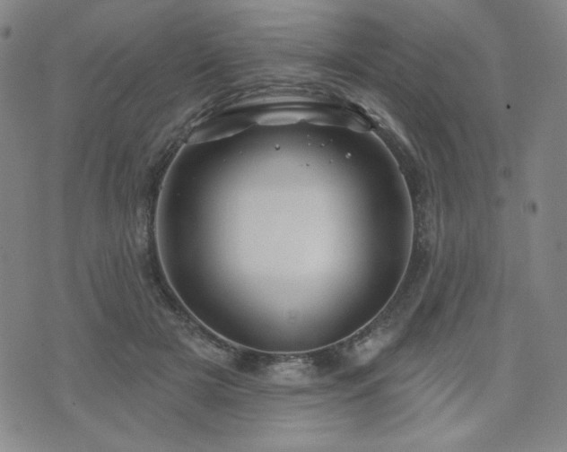 X0000071850505200606301341