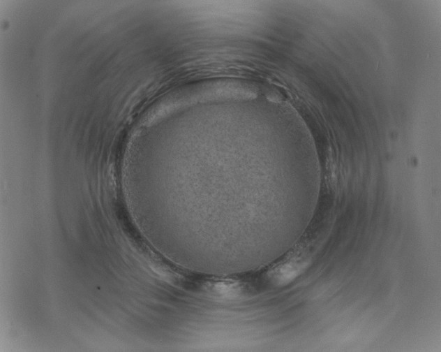 X0000071850506200606301341