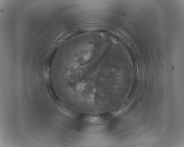 X0000071850507200606301340