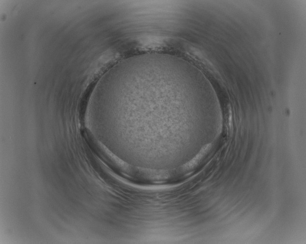 X0000071850508200606301340