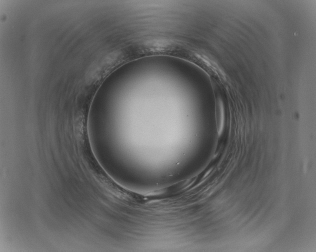 X0000071850509200606301340