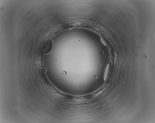 X0000071850510200606301340