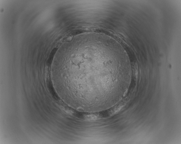 X0000071850511200606301340