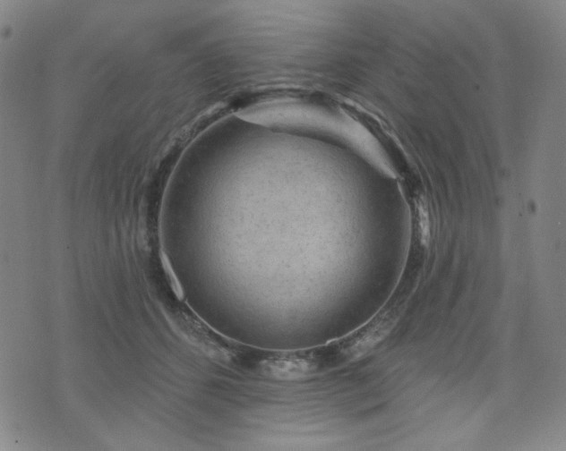 X0000071850512200606301340