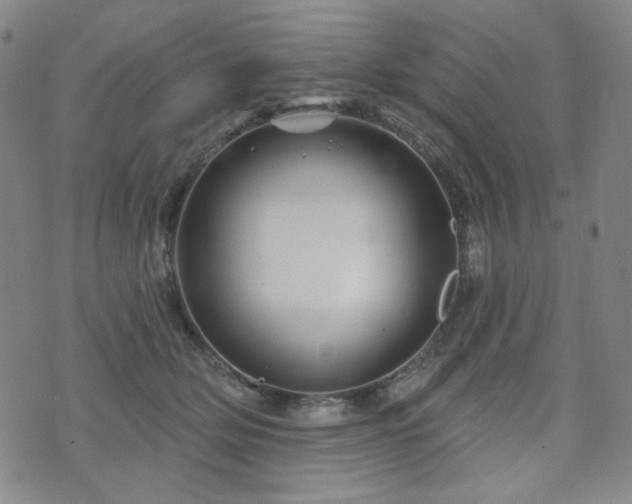 X0000071850514200606301340