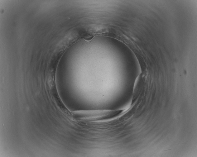 X0000071850515200606301340