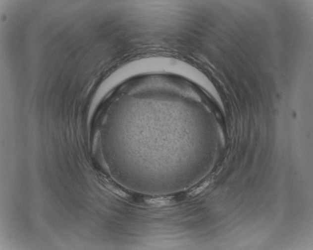 X0000071850516200606301340