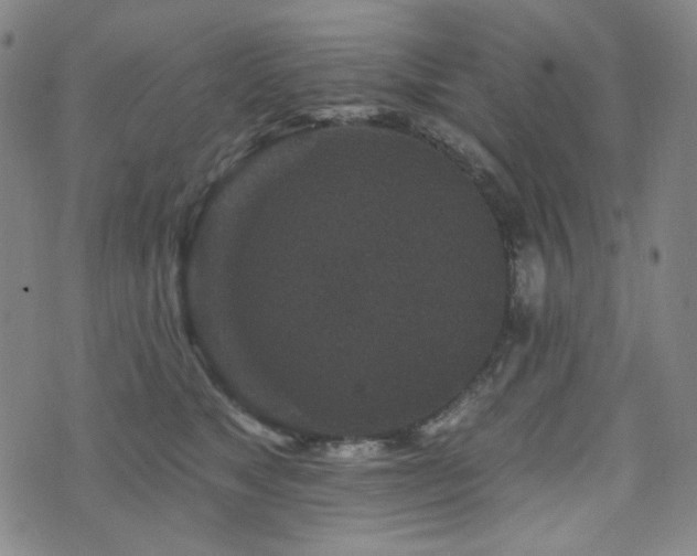 X0000071850517200606301340