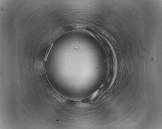 X0000071850521200606301340