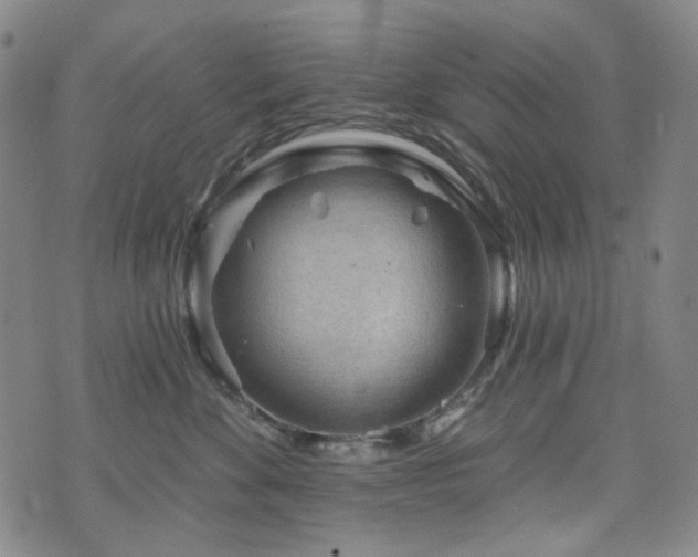 X0000071850524200606301340