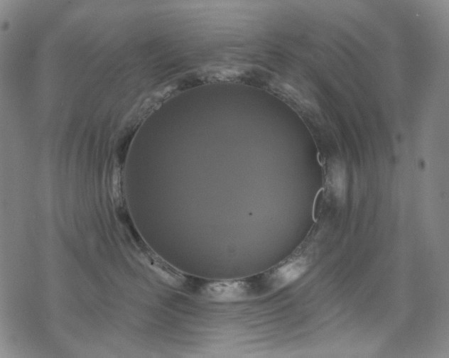 X0000071850526200606301340