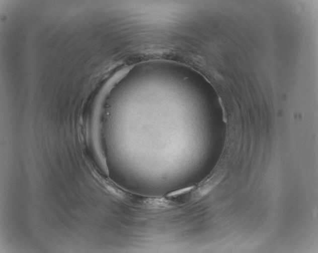 X0000071850528200606301340