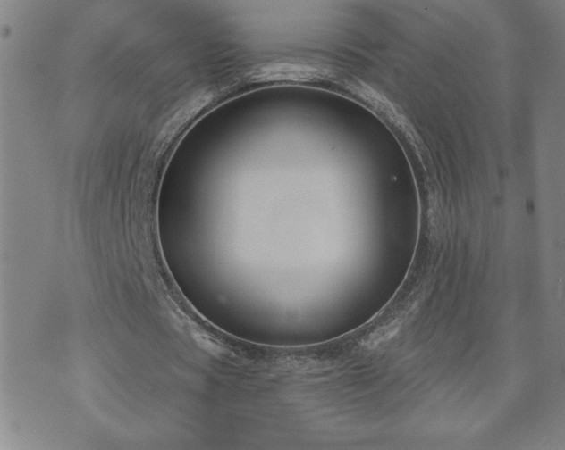 X0000071850529200606301339