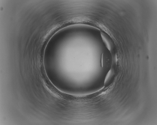 X0000071850530200606301339