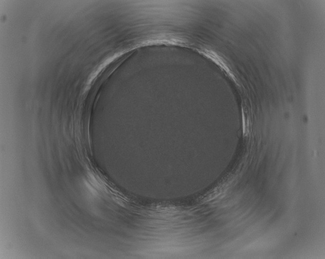 X0000071850531200606301339