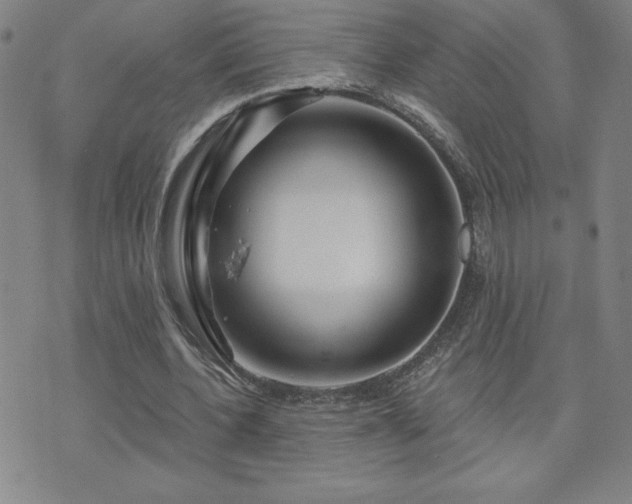 X0000071850532200606301339