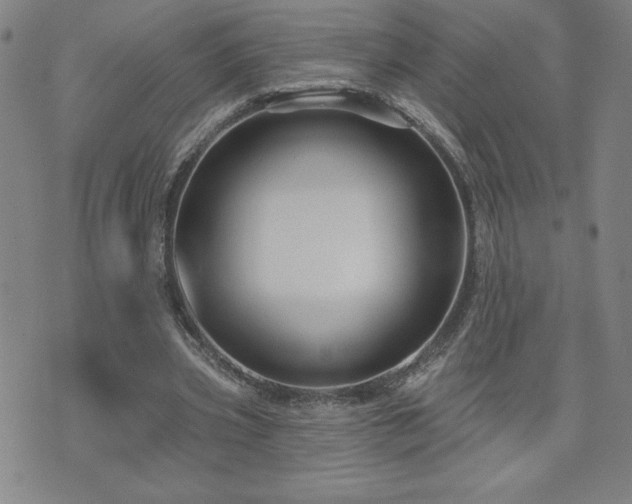 X0000071850533200606301339