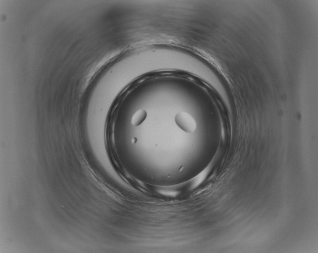 X0000071850535200606301339