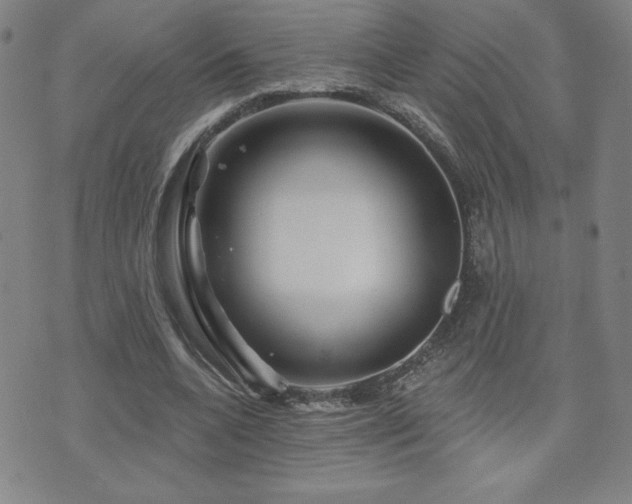 X0000071850536200606301339