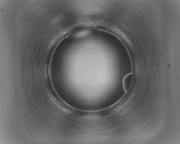 X0000071850537200606301340