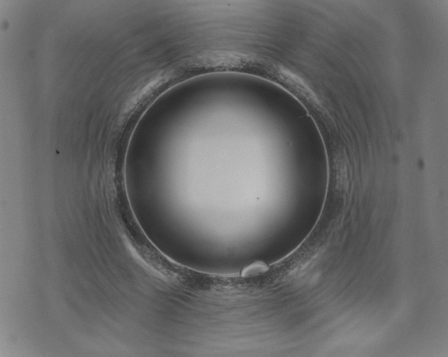 X0000071850538200606301340