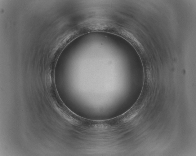 X0000071850541200606301340