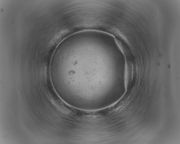 X0000071850542200606301340